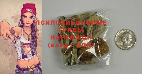 хмурый Вяземский