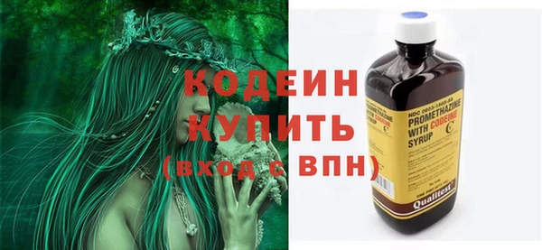 хмурый Вяземский