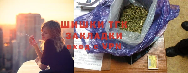 хмурый Вяземский